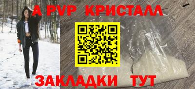 дживик Гай